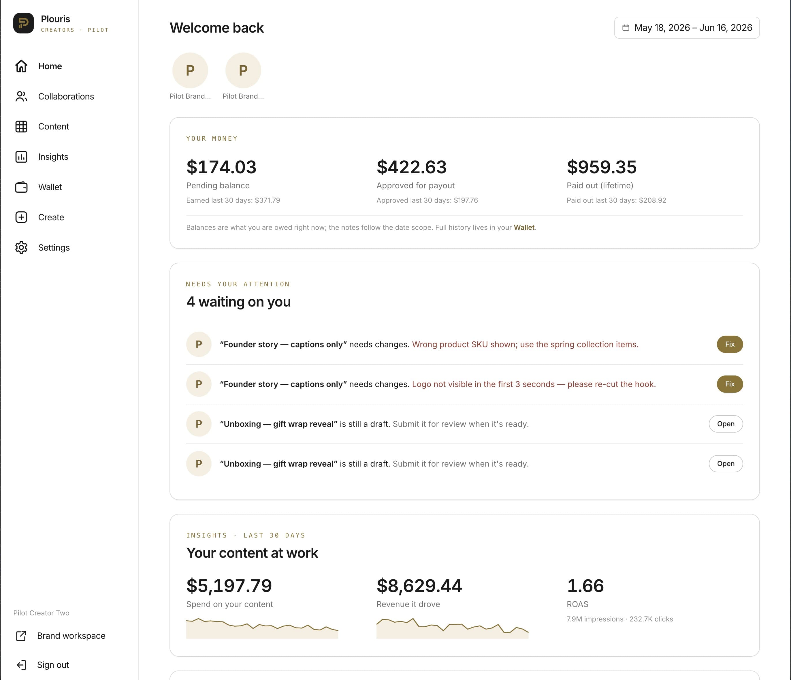 Plouris creator dashboard preview